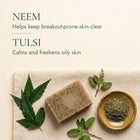 neem and tulsi benefits