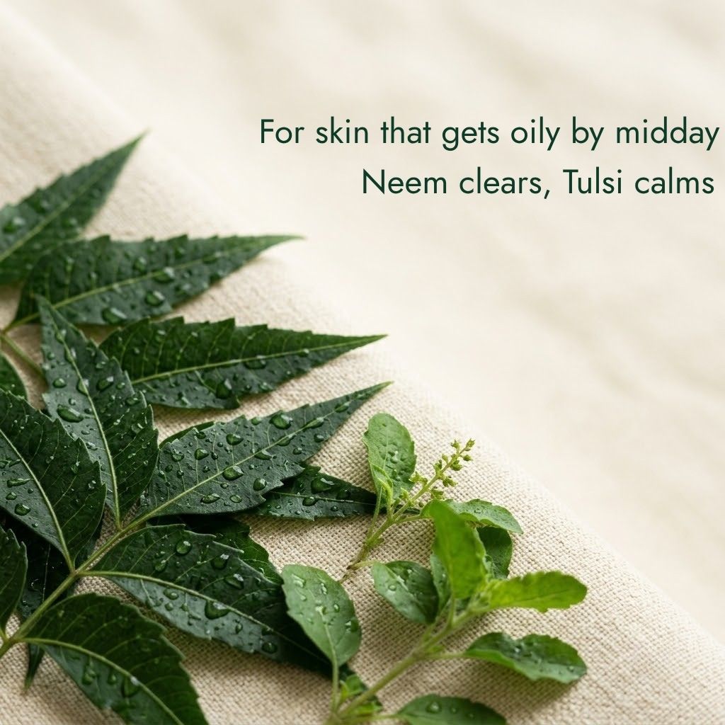 neem and tulsi benefits