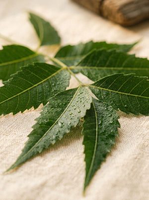Neem oil/extract