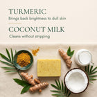 turmeric and coconut milk ingredients benefits